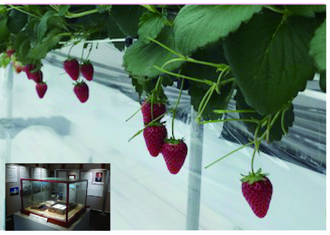 4月春の歩こう会 HP用