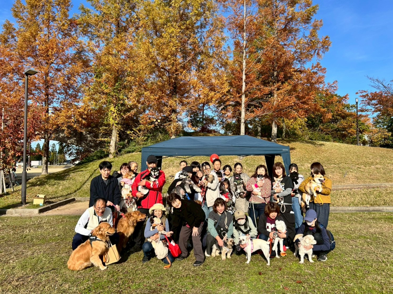 わんわん運動会 (1)